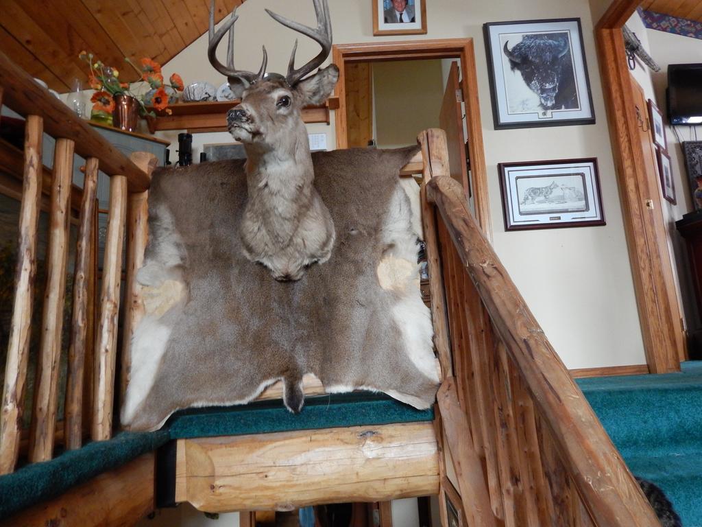 Idle Spurs Log Cabin Bed & Breakfast Black Diamond Esterno foto