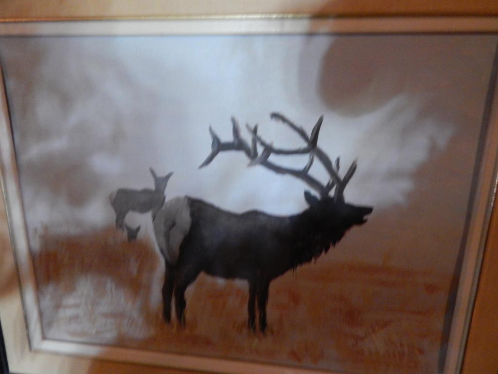 Idle Spurs Log Cabin Bed & Breakfast Black Diamond Esterno foto